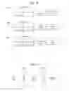 Fig. 42 - Apparatus for transmitting broadcast signals, apparatus for receiving broadcast signals, method for transmitting broadcast signals and method for receiving broadcast signals