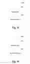 Fig. 15 - Method for transmitting uplink control information, UE and base station