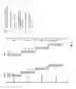 Fig. 03 - Redundant content bridging between substation communication networks