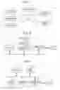 Fig. 02 - SERVER DEVICE, INFORMATION PROCESSING SYSTEM, AND NON-TRANSITORY COMPUTER READABLE MEDIUM