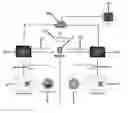 Fig. 01 - Content management and presentation systems and methods