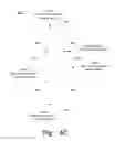 Fig. 08 - Automating client development for network APIs