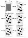 Fig. 16 - Image processing apparatus, image processing method, and storage medium