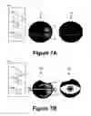 Fig. 08 - Image Capture Technique