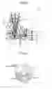 Fig. 03 - Image projection apparatus