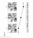 Fig. 15 - Block size determination method, video encoding apparatus, and program