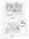 Fig. 06 - INTERACTIVE OVERLAY FOR DIGITAL VIDEO