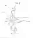Fig. 02 - BINAURAL RECORDING SYSTEM AND EARPIECE SET