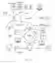 Fig. 18 - International Converged Mobile Services