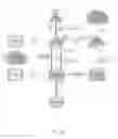 Fig. 19 - International Converged Mobile Services