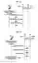 Fig. 08 - Communication control method, user terminal, network device, and base station