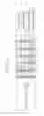 Fig. 11 - PHYSICAL LAYER PROTOCOL DATA UNIT FORMAT INCLUDING PADDING IN A HIGH EFFICIENCY WIRELESS LAN