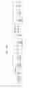 Fig. 19 - PHYSICAL LAYER PROTOCOL DATA UNIT FORMAT INCLUDING PADDING IN A HIGH EFFICIENCY WIRELESS LAN