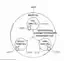 Fig. 01 - Method and apparatus for cell to discover another cell