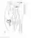 Fig. 07 - Method, telephone, telecommunication system and device for controlling power consumption of a telephone