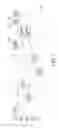Fig. 03 - Apparatus and method for operating resource in wireless local area network system supporting multi-user transmission scheme