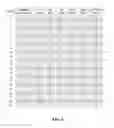Fig. 07 - Subcarrier allocations for operation in mixed bandwidth environments