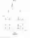 Fig. 08 - Method and apparatus for transmitting signal in a wireless communication system