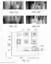 Fig. 07 - Electronic device having a housing for suppression of electromagnetic noise