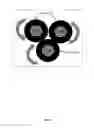 Fig. 22 - Selective automated blossom thinning