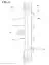 Fig. 23 - DRIP EMITTER WITH COPPER AND PARTITION