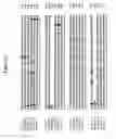 Fig. 06 - Alteration of tobacco alkaloid content through modification of specific cytochrome P450 genes