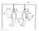 Fig. 01 - Method and apparatus for animal grooming