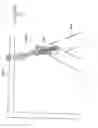 Fig. 04 - Method and apparatus for animal grooming