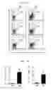 Fig. 14 - Atopic dermatitis model animal and use thereof