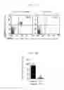 Fig. 15 - Atopic dermatitis model animal and use thereof