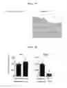 Fig. 16 - Atopic dermatitis model animal and use thereof