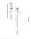 Fig. 05 - Human lambda light chain mice