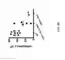 Fig. 13 - Human lambda light chain mice