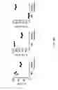 Fig. 15 - Human lambda light chain mice