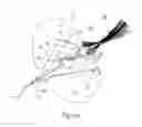 Fig. 07 - Fish collecting device