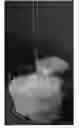 Fig. 01 - Biological sample vitrification carrier and usage thereof