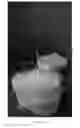 Fig. 05 - Biological sample vitrification carrier and usage thereof