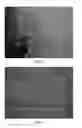 Fig. 03 - Pigmented decontaminating gel and method for decontaminating surfaces using said gel