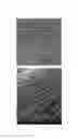 Fig. 02 - COMPOSITIONS AND METHODS FOR ATTRACTING STINK BUGS
