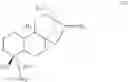 Fig. 15 - Steviol glycoside