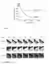 Fig. 02 - AQUEOUS EXTRACT OF TOMATO-PROCESSING WASTE HAVING PLATELET ANTI-AG AND ANTITHROMBOTIC ACTIVITIES AND METHOD FOR THE PRODUCTION THEREOF