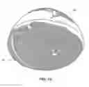 Fig. 17 - HAM AND PORCINE PRODUCTS AND PROCESS FOR PREPARING THE SAME