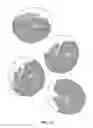 Fig. 18 - HAM AND PORCINE PRODUCTS AND PROCESS FOR PREPARING THE SAME