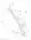 Fig. 02 - MOUTH MASK