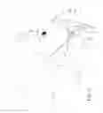 Fig. 05 - MOUTH MASK