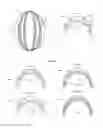 Fig. 04 - Protective headwear