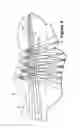 Fig. 05 - Material elements incorporating tensile strands