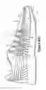 Fig. 12 - Material elements incorporating tensile strands