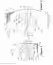 Fig. 05 - Knitted component having tensile strand for adjusting auxetic portion