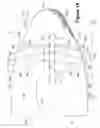 Fig. 12 - Knitted component having tensile strand for adjusting auxetic portion